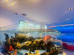 -金苑海鲜酒家(来魅力店)