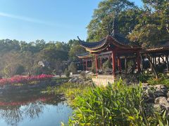 -顺峰山公园