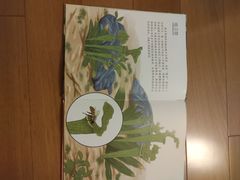 -上海市虹口区图书馆(曲阳分馆)