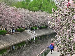 -海棠花溪(元大都城垣遗址公园)