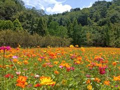 -贵阳市花溪国家城市湿地公园