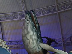 -烟台海昌鲸鲨海洋公园