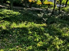-成都市活水公园