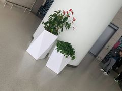 -温州龙湾国际机场