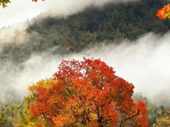 -塔川景区