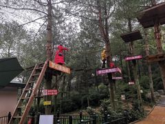 -梦幻奥陶纪景区