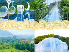 -南丹山森林王国