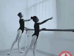 -西安小天鹅艺术团(金花路校区)