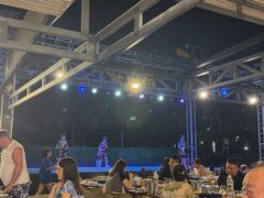-渔家火锅·海鲜自助餐·演艺(亚龙湾天域酒店)
