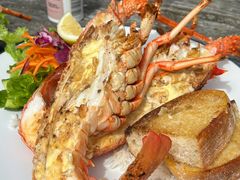 -Kaikoura Seafood BBQ Kiosk
