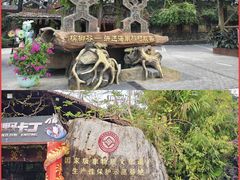 -海南槟榔谷黎苗文化旅游区
