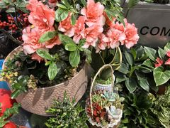 -FEI FEI FLOWER鲜花店·气球派对·宝宝宴布置(虹口德必运动Loft店)