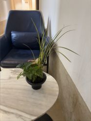 -上海薇琳医疗美容医院