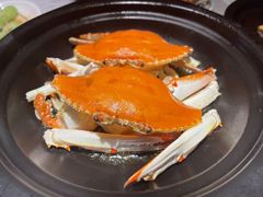 -海市焗·现焗海鲜·老广风味(上海首店)