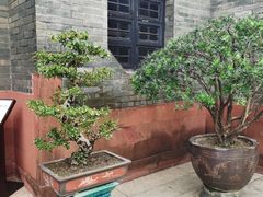 -东莞市可园博物馆