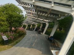 -映月湖中央公园