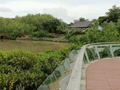 -大亚湾红树林城市湿地公园