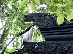 -龙华寺