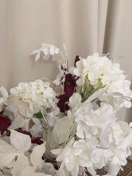 -ST时柒·问题肌抗衰美颜所