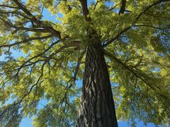 -天津盘山风景名胜区