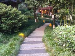 -十八棵（老龙井）御茶园(老龙井店)