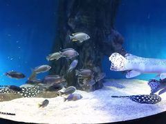 -成都浩海立方海洋公园