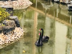 -梧桐人家中国太平国际健康颐养社区