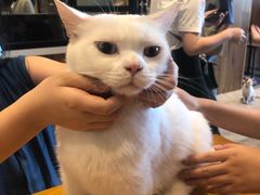 -凯德广场(武胜路店)