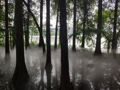 -东湖落雁景区