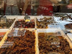 -鑫记婆婆兔·成都特产·兔头手撕兔(太古里店)