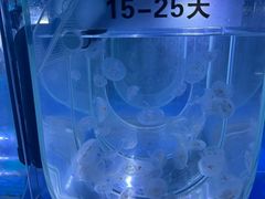 -左海海底世界