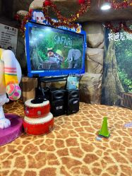-卡通尼·Safari非洲探索乐园·生日会(金桥国际商业广场店)
