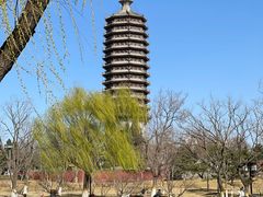 -西海子公园