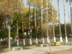 -西宁市人民公园(城西区)