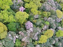 -梧桐山风景名胜区