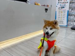 -申普宠物医院·眼科·心内科·影像科(普陀分院)