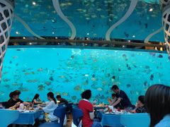 -瑞德姆美人鱼海底演艺主题餐厅(亚龙湾店)