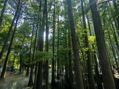 -东湖落雁景区