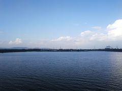 -南湖湿地公园