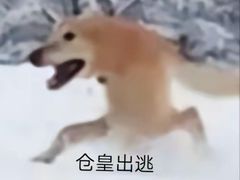 -星巴克(夏碧路店)