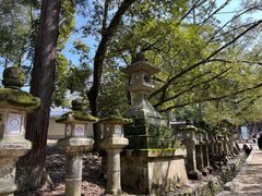 -奈良公园