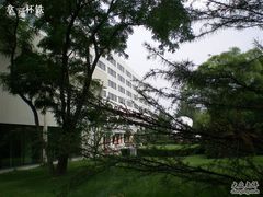 -天津燕园国际大酒店