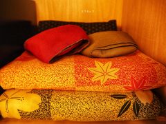 -江户樱花旅馆