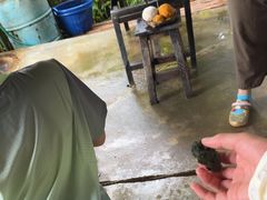 -大象粑粑造纸公园
