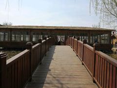 -荣德灶台鱼(圣泉寺店)