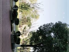 -金银湖国家城市湿地公园