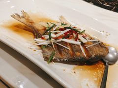 -梅龙镇酒家(南京西路总店)