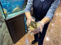 -肆月河豚·淮扬菜·湘菜(华天店)
