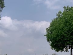 -白鹭湾湿地公园