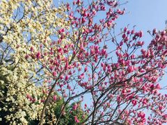 -成都东站汽车客运站